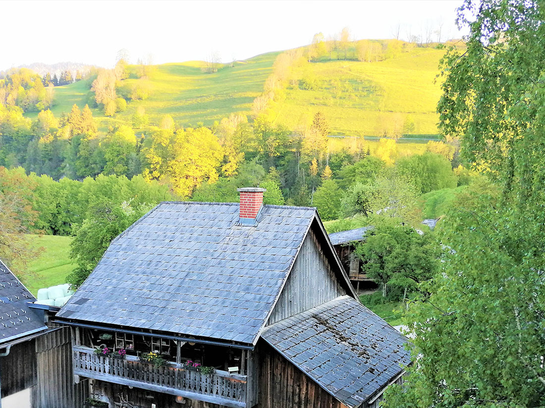 Balkonaussicht Appartement Hechlstein