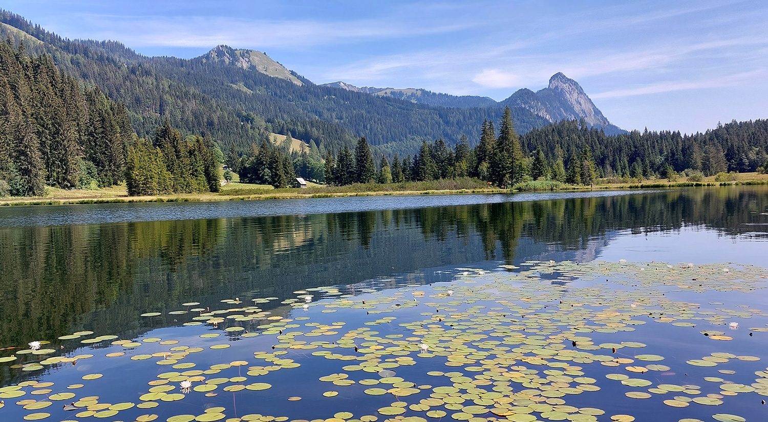 der wunderschöne Spechtensee